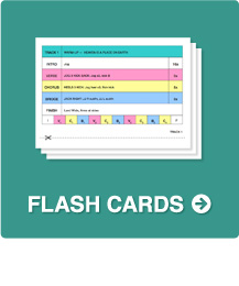 Platinum 8 Flash Cards