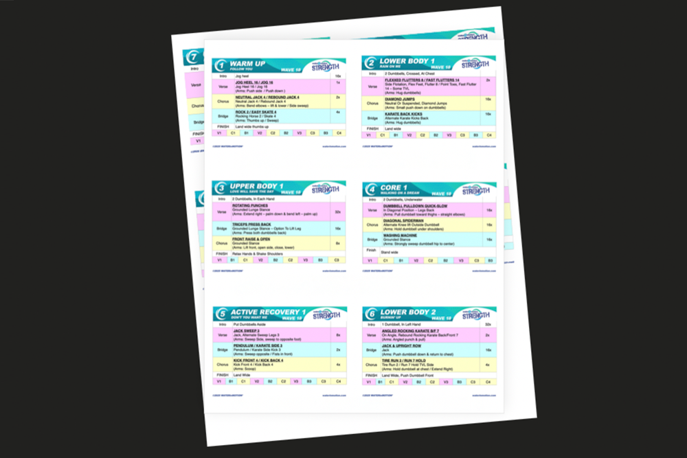 Download Summary Sheet